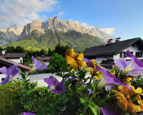 Ausblick aus der Ferienwohnung "Das Stepberg"